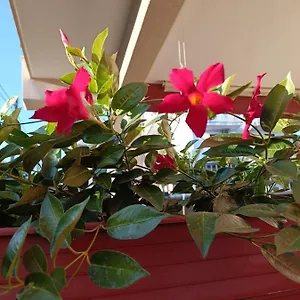Appartamento Peppe's House, Gravina di Catania